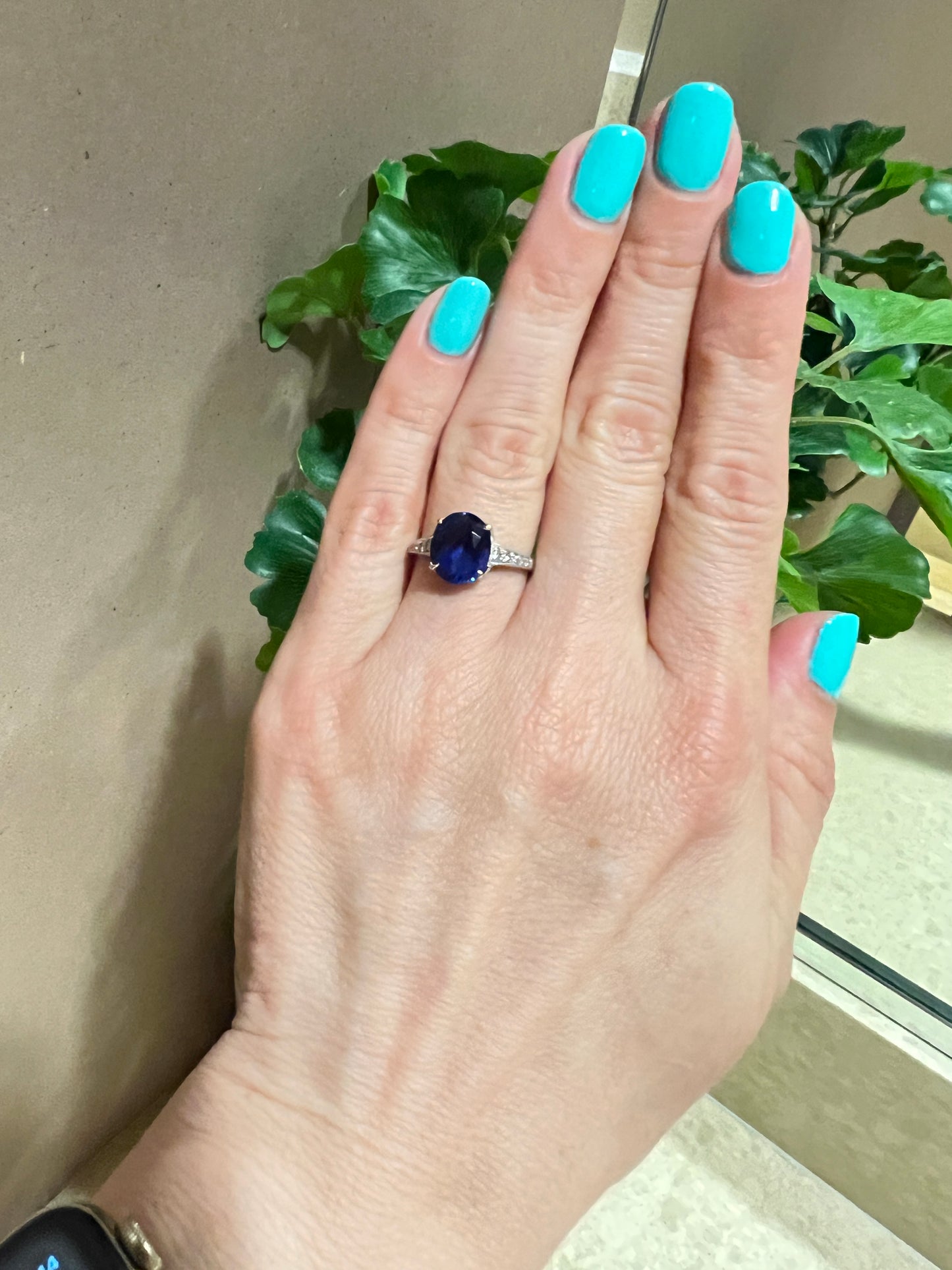 3.30ct Sapphire and 0.20ctw Diamond Platinum Ring