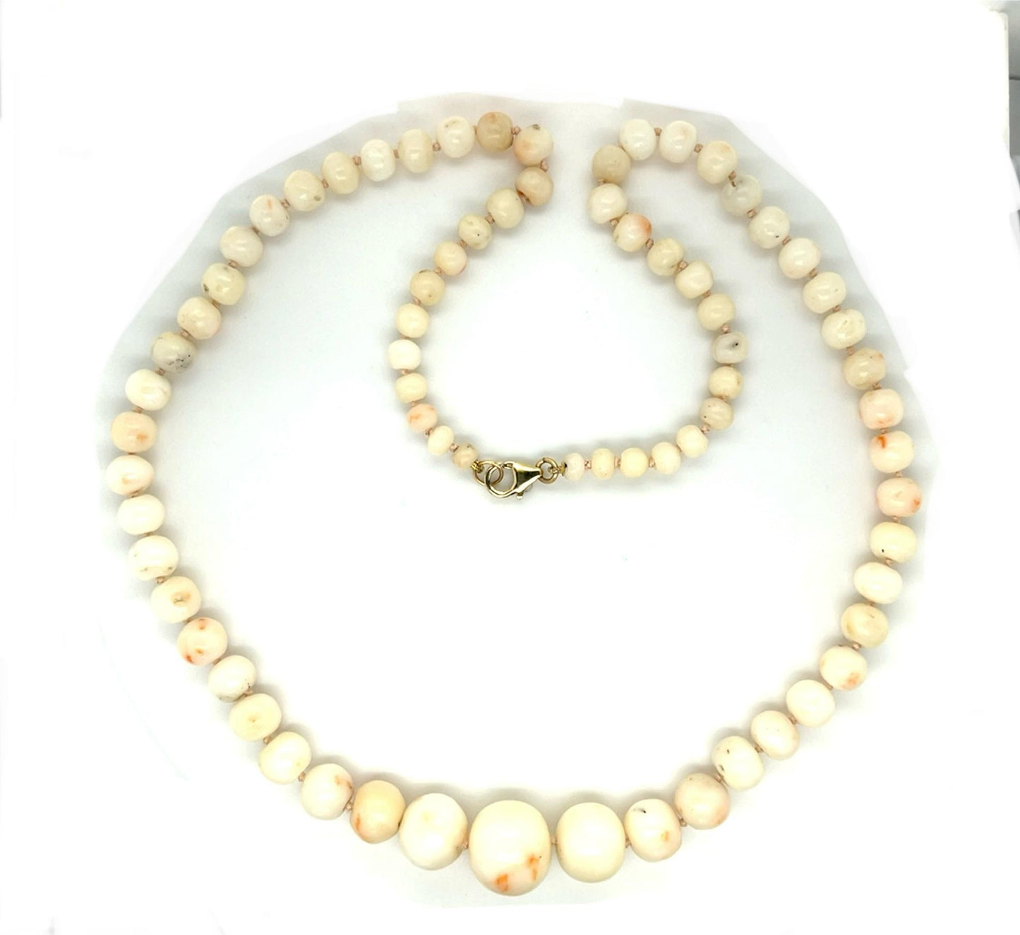 Natural Angel Skin White Coral 14KY Necklace 14.38mm-5.40mm 40.73g 21"
