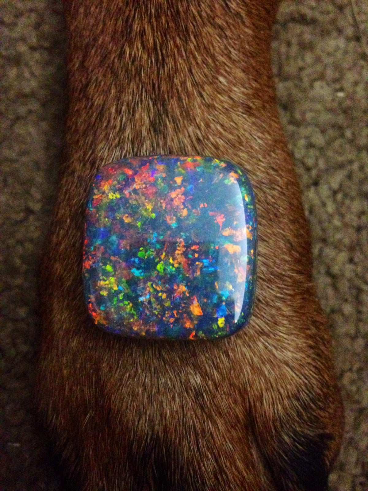 102ct Lightning Ridge Australian Opal