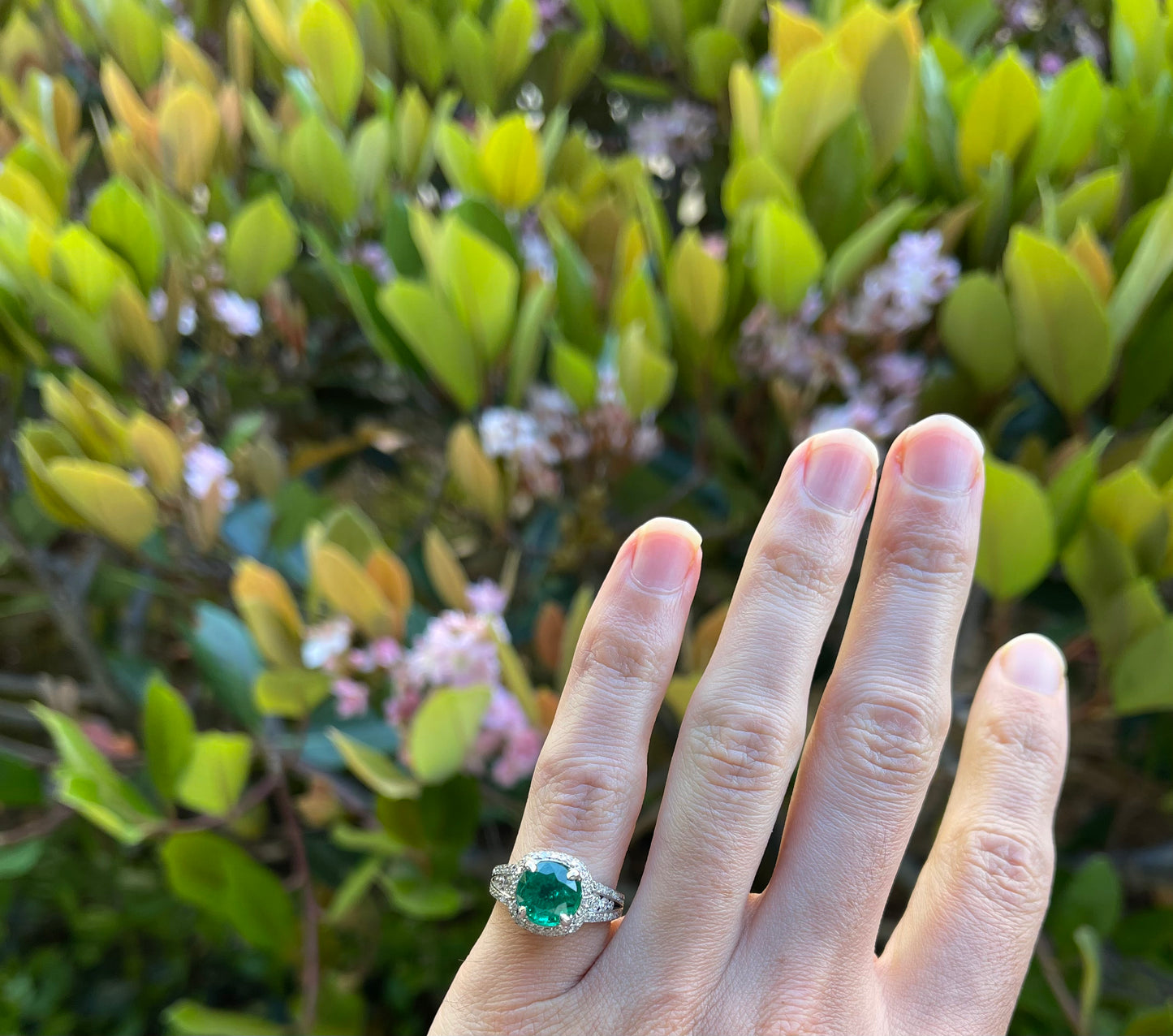 2.38ct Emerald .70ct Diamond 18KW Ring