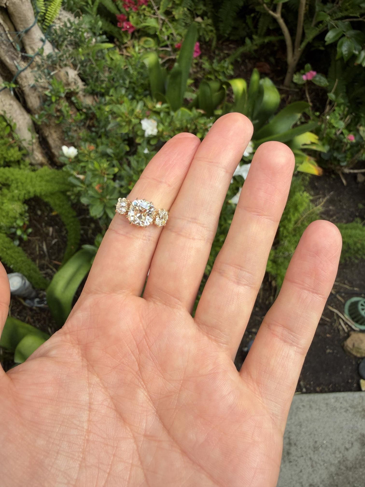 3.02ct (O-P VVS2) Old Mine Cushion Diamond 14KY Gold Ring 1.26ct SD 4.50g