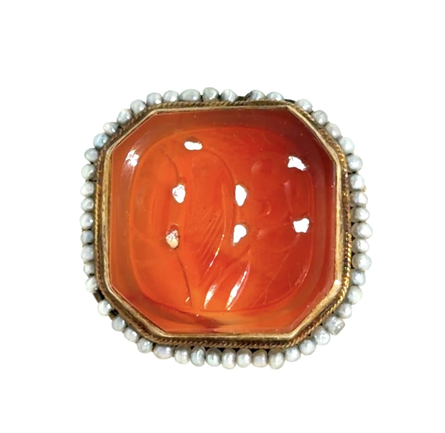 Victorian Carved Carnelian Songbird Motif 10KY Ring (Antique 1890s) Seed Pearls