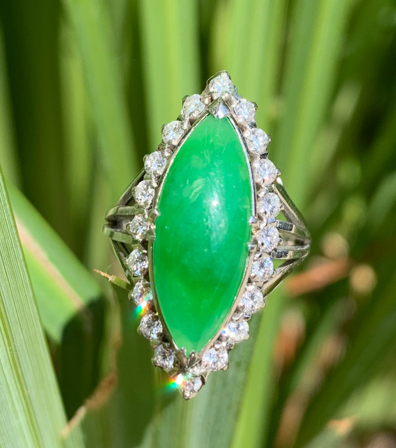 GIA Grade A Jade 6ct and Diamond Ring
